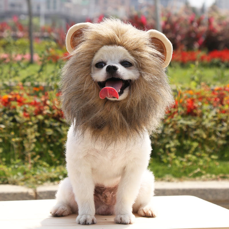 Out-Shine | Halloween Lion Hat for Dog and Cat